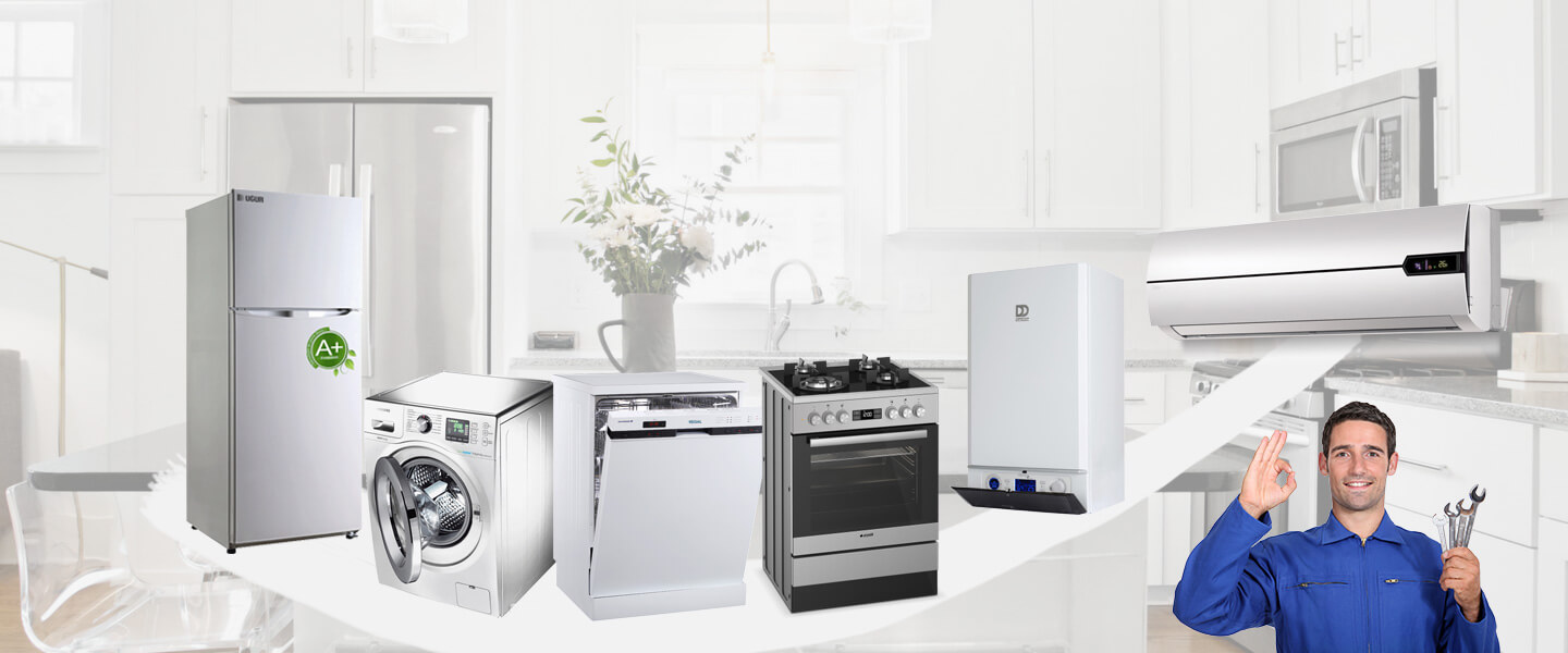 Çandarlı Grundig Servisi